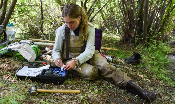 student studying in woods